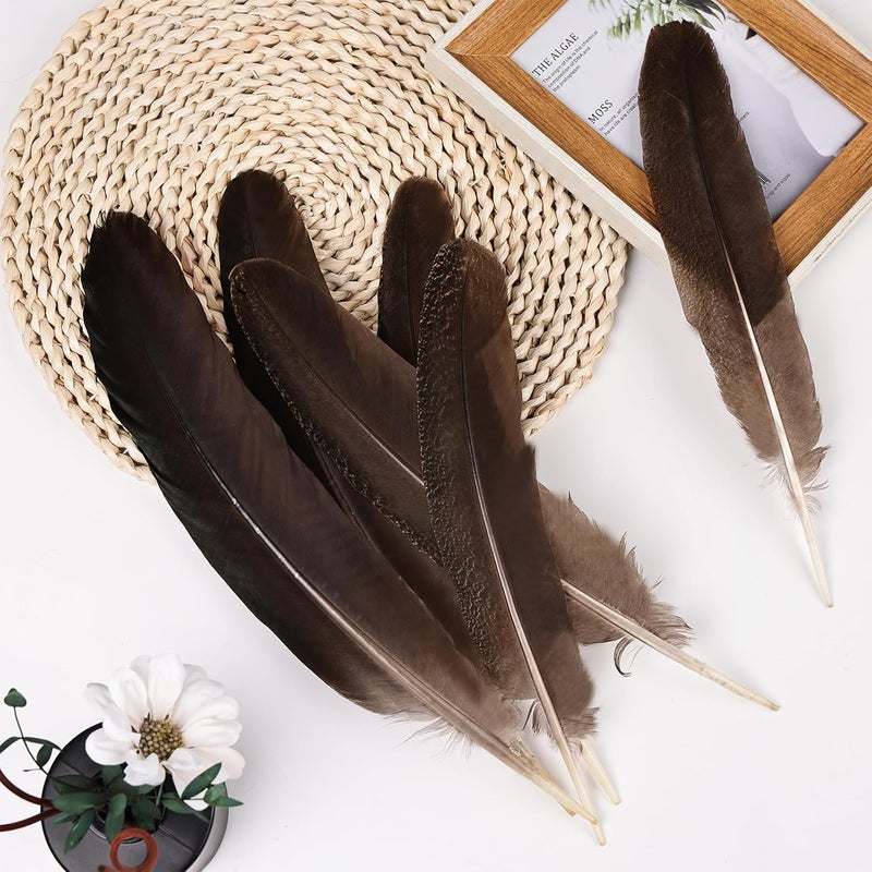 MehelloFeather Store Peacock Wing 11-14 Inch Natural Feather 6 Pcs Crafts for DIY Home Decoration Wedding Centerpieces Party Supplies - Image 4